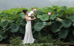 亚洲一卡二卡三卡四卡无卡网站